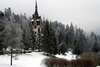 Гостевой дом Pension Sinaia - Casa Ta Синая-6